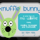 Knuffle Bunny: A Book Series Study