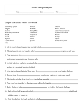 Circulation Worksheet