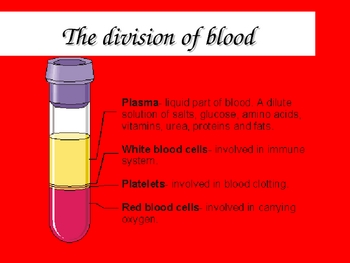 Circulatory System  on Blood Powerpoint  Circulatory System