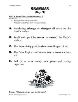 Plants Needs Worksheet