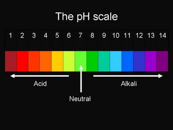 Ph Scale Science