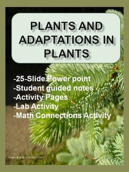 Plant Adaptations Powerpoint