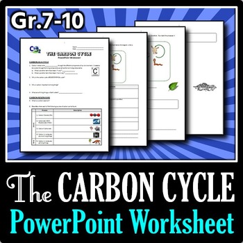 carbon cycle story worksheet