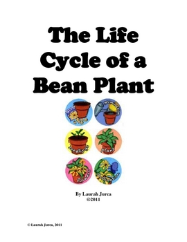bean life cycle