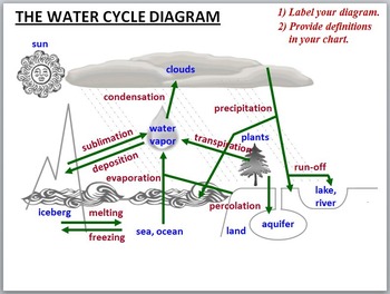 Water Cycle  on The Water Cycle   Powerpoint Presentation Free   Tangstar Science